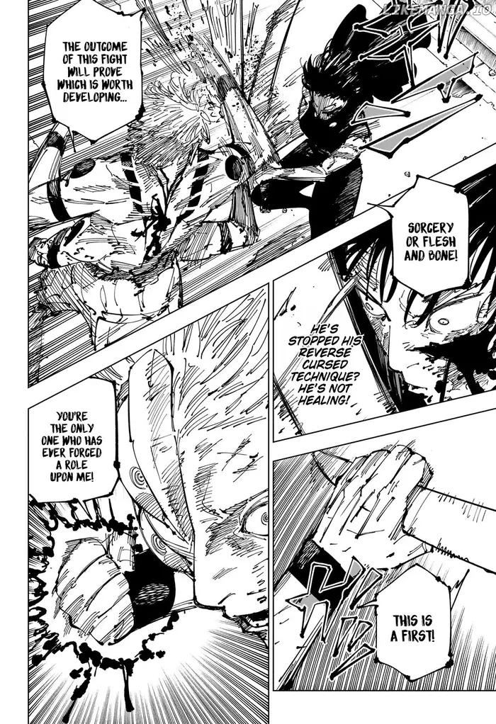 Jujutsu Kaisen Chapter 253 image 19_optimized